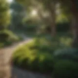 Lush green yard with neatly trimmed bushes