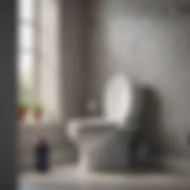 Analyzing the Best Products Clip-On Toilet Bowl Cleaner Comparison
