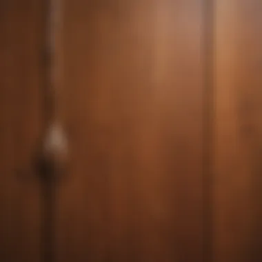 Close-up of high-quality wood material used in screen door