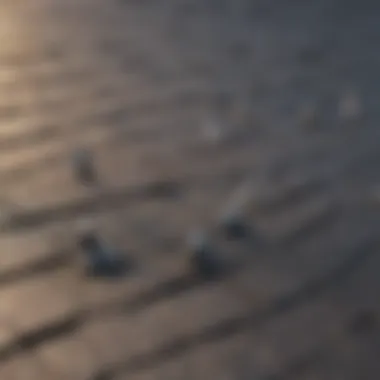 Close-up of installed 1 1/4 inch roofing nails