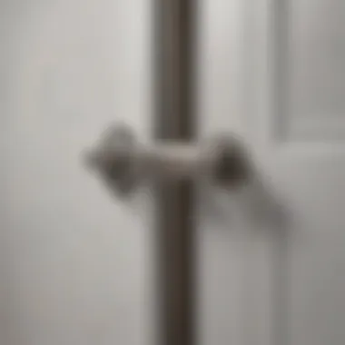 Illustration of the Larson Screen Door Closer showcasing its sleek design