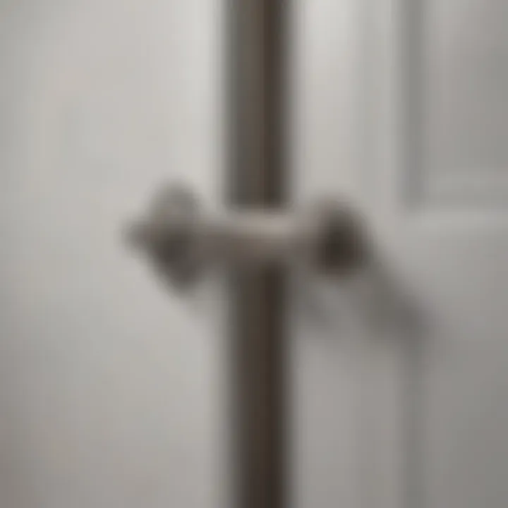 Illustration of the Larson Screen Door Closer showcasing its sleek design