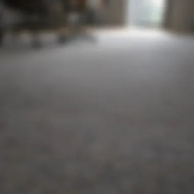 Utilization of Plastic Carpet Protector in Commercial Space Plastic carpet protector sheet in an office space, highlighting its practical use
