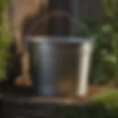 The Versatility of a 10 Quart Bucket in Gardening Applications Versatile uses of a 10 quart bucket in gardening