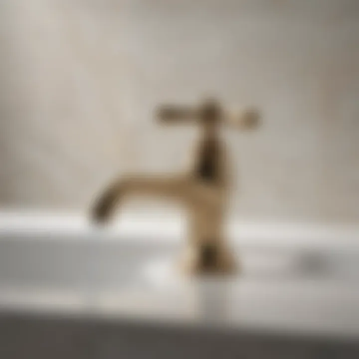 Comprehensive Examination of the Kohler 4620 Flush Valve Kit Elegant