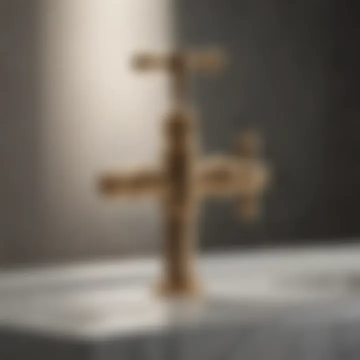 Glorious Comprehensive Examination of the Kohler 4620 Flush Valve Kit