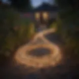 A vibrant solar rope light illuminating a garden pathway at night