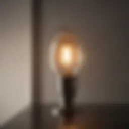 Illuminated CFL base in a modern setting