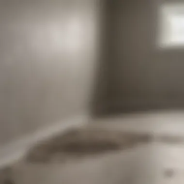 Various types of drywall mud with labels