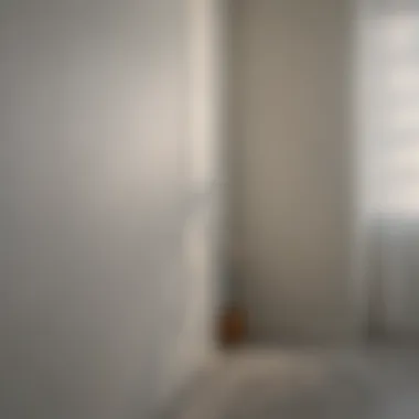 The Impact of Primer on Final Finish Visual comparison of painted drywall with and without primer