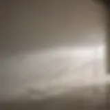 Different types of drywall primers displayed
