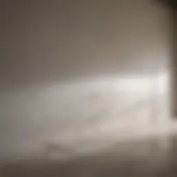 Different types of drywall primers displayed