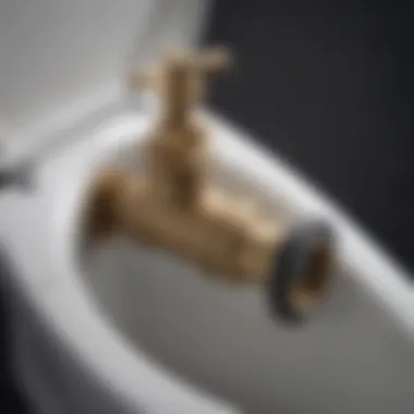 Illustration showcasing replacement of flapper valve in a Kohler toilet tank