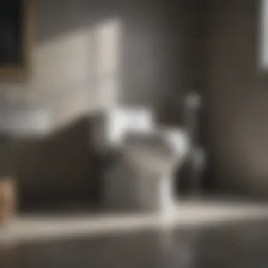 Kohler toilet common issues solutions