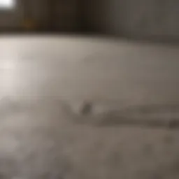 Pre-mixed cement patch in repair work