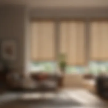 Elegant Comprehensive Guide to 36in Blinds for Your Home Comprehensive Guide to 36in Blinds for Your Home Elegant