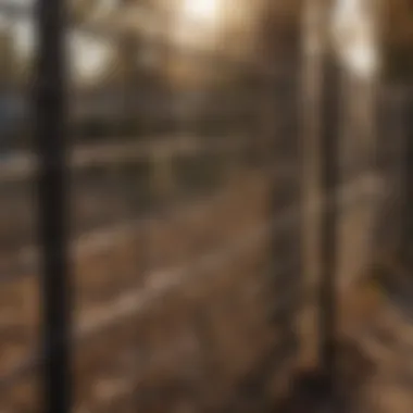 Essential Maintenance for Long-lasting Welded Wire Fencing Maintenance schedule for welded wire fencing