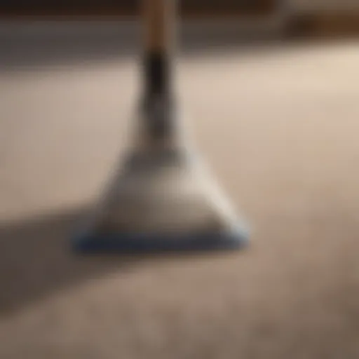 A variety of carpet cleaning products displayed on a surface.