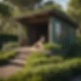 Spacious extra large outdoor dog house with green roof