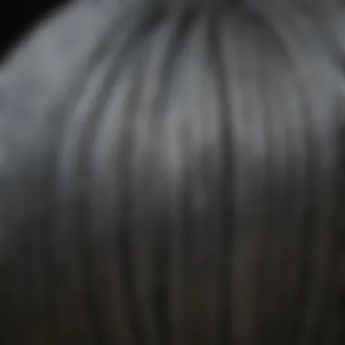 Close-up of 9 gauge galvanized tension wire coiled in a neat formation