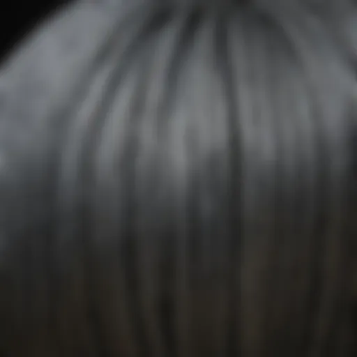 Close-up of 9 gauge galvanized tension wire coiled in a neat formation