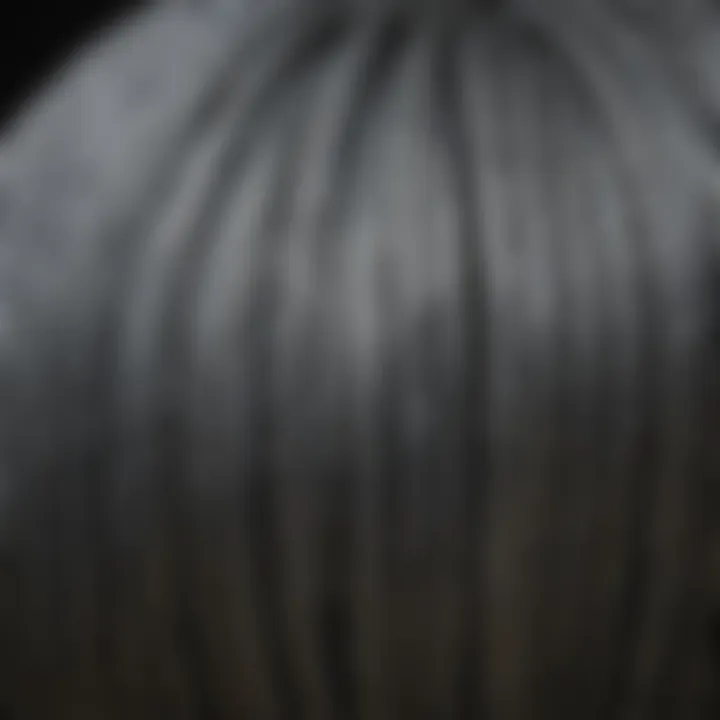 Close-up of 9 gauge galvanized tension wire coiled in a neat formation