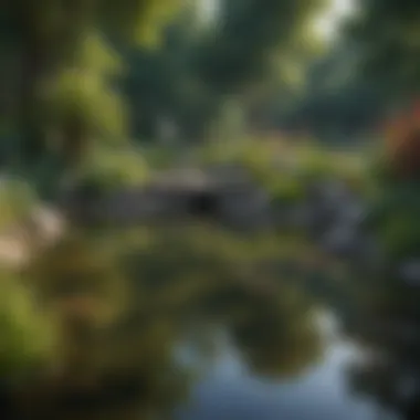 A serene pond with crystal clear water and aquatic plants