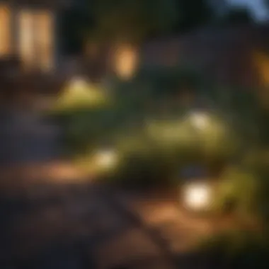 Solar Lights Creating Backyard Ambiance Well-maintained solar lights enhancing the ambiance of a backyard
