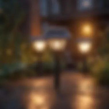 Variety of Solar Lights for Outdoor Use Different types of solar lights displayed in an outdoor setting