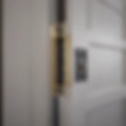 Elegant pocket door kit showcasing soft close mechanism