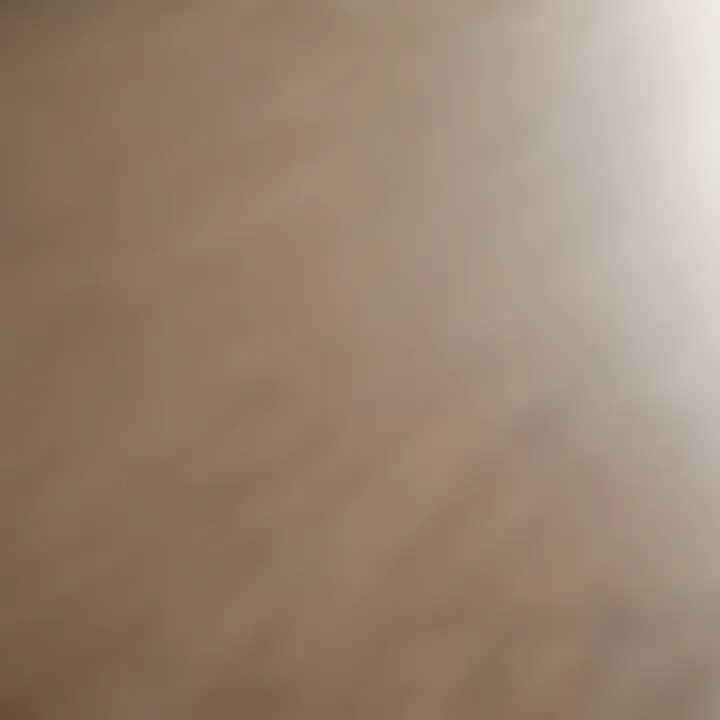 Elegant Comprehensive Guide to Roberts 1407 Flooring Adhesive Comprehensive Guide to Roberts 1407 Flooring Adhesive Elegant