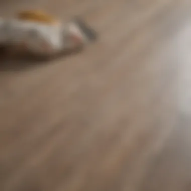 Glorious Comprehensive Guide to Roberts 1407 Flooring Adhesive Glorious Comprehensive Guide to Roberts 1407 Flooring Adhesive