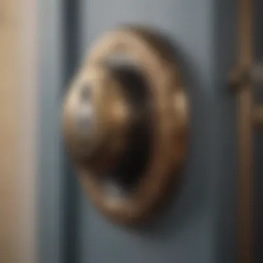 A close-up view of a modern lock showcasing advanced security features