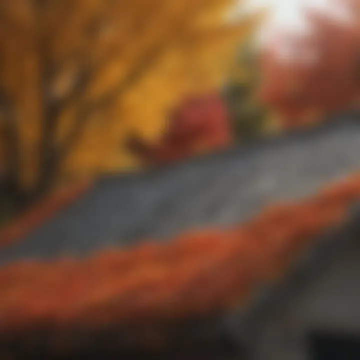 Autumnal Canopy: Leaves Blanketing the Roof Roof Covered in Autumn Leaves