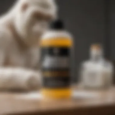 Craftsman's Secret Craftsman's Secret - Unveiling the White Gorilla Glue Formula