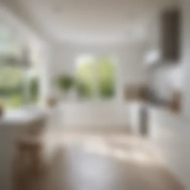 Brightening Effects of White in Sunlit Space Crisp White Paint in Light-Filled Kitchen