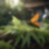 Green botanical ingredients in Cutter Insect Yard Spray