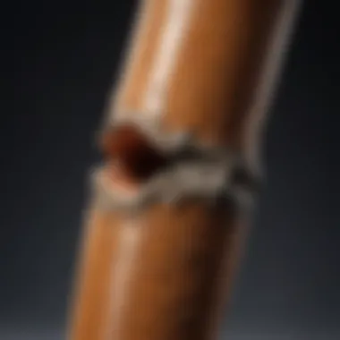 Erosion Unveiled: Pipe Fitting Post Shark Bite Close-up of damaged pipe fitting after shark bite