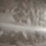 Innovative Foam Application