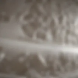 Innovative Foam Application