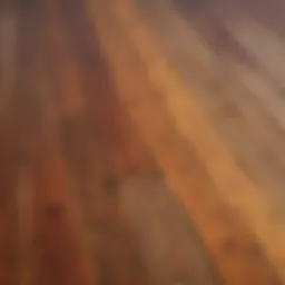 Deck Stain Color Palette