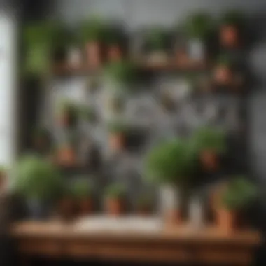Display of Plants and Art Supplies on Pegboard A beautifully arranged decorative pegboard in a living room displaying plants and art supplies