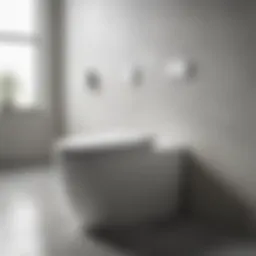 A sleek Delta toilet showcasing modern design features