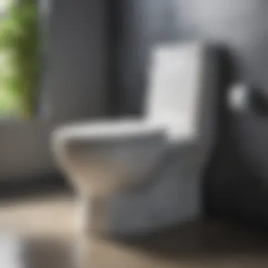 Water Efficiency of Delta Toilet Water efficiency indicator displaying low water usage