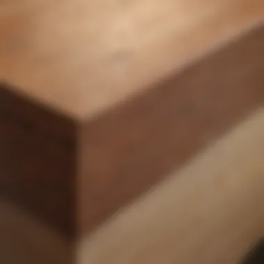 Detailed view of angled finish nail seamlessly integrated into woodworking masterpiece