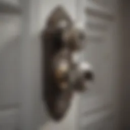 Elegant tool for door knob removal