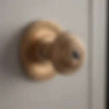 A close-up view of door knob rose plates made from various materials including brass and bronze