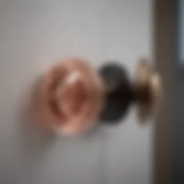 Modern door knob rose plates integrated with smart technology