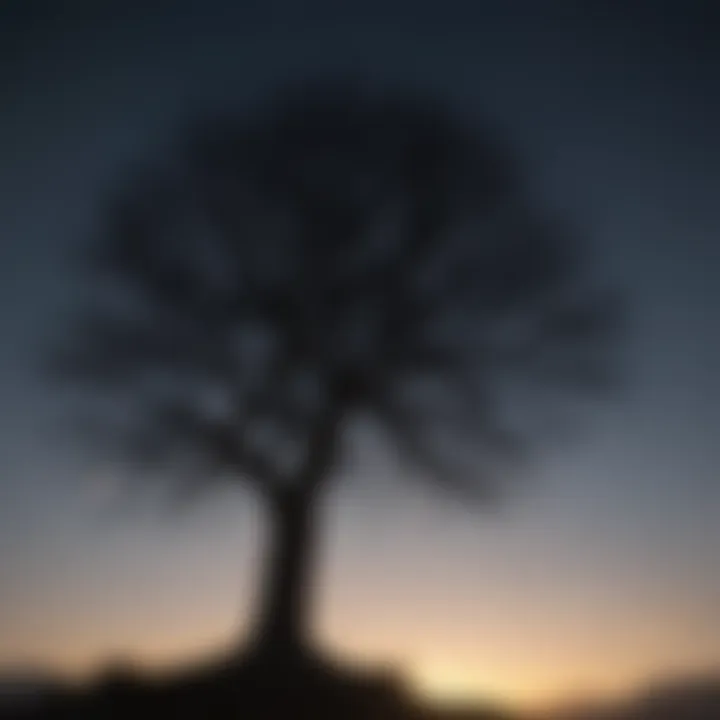 Dramatic Silhouette of Tree Under Moonlight