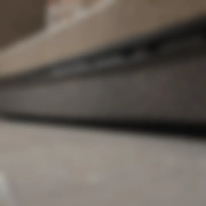 Unmatched Durability for Cleaning Solutions Durability of Bissell Cleanview Pet Vacuum Belt